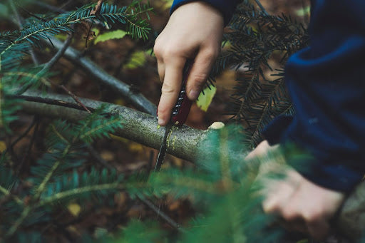 Advanced Bushcraft Skills For Experienced Survivalists