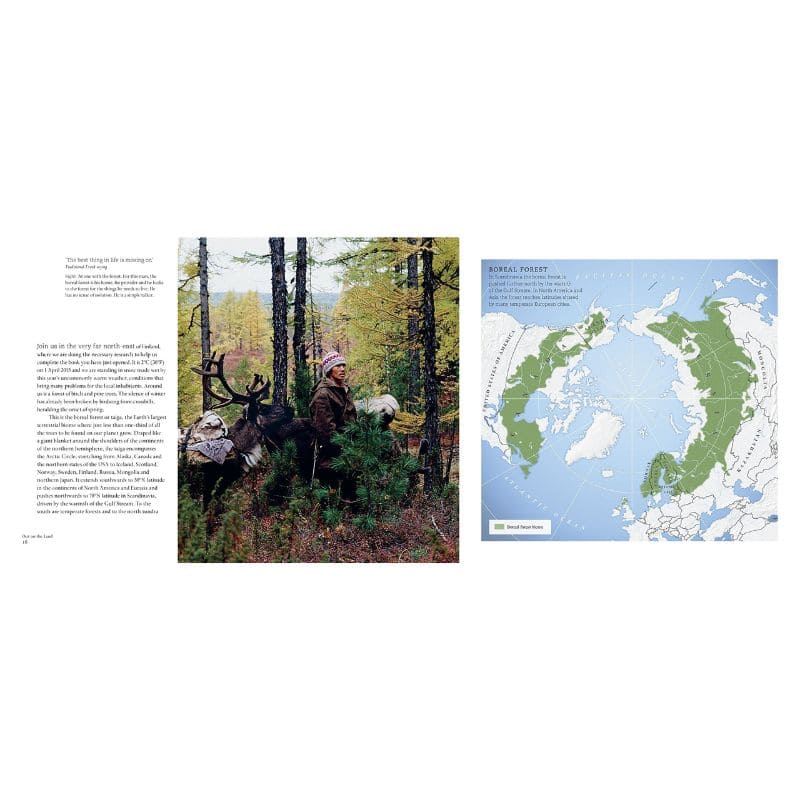 Out On The Land: Bushcraft Skills from the Northern Forest