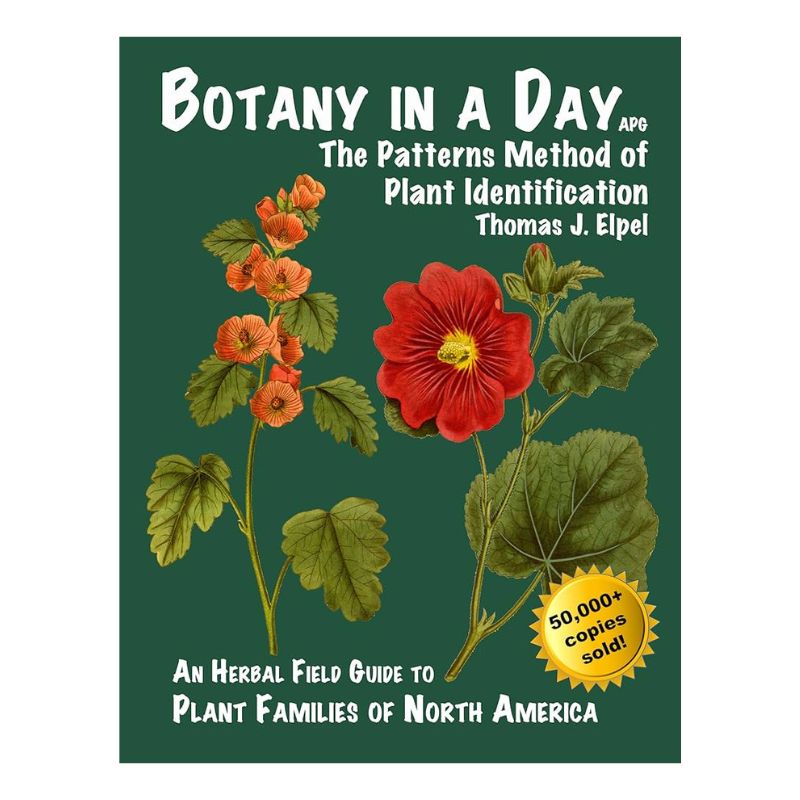 Botany in a Day