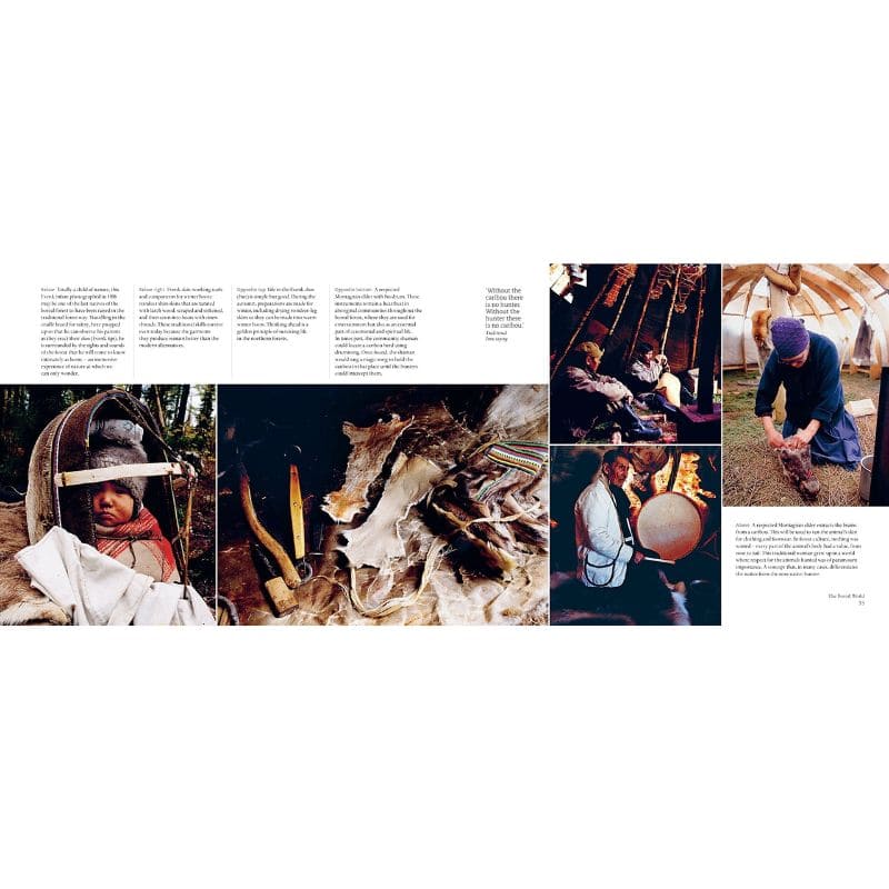 Out On The Land: Bushcraft Skills from the Northern Forest