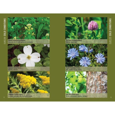 Bushcraft First Aid: A Field Guide to Wilderness Emergency Care