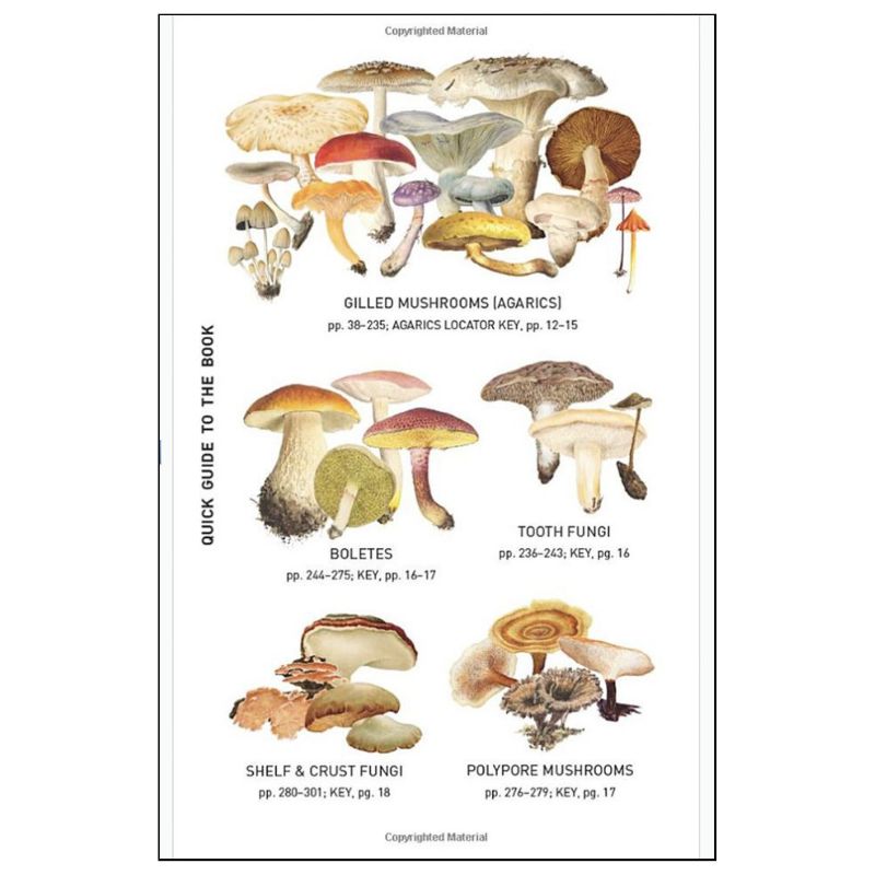 Peterson Field Guide To Mushrooms Of North America