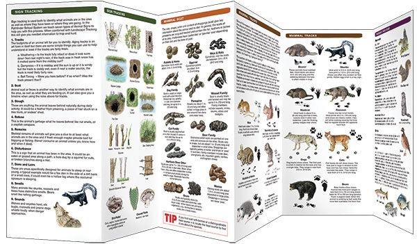 Basic Tracking Guide (Laminated)