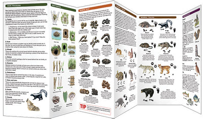 Basic Tracking Guide (Laminated)