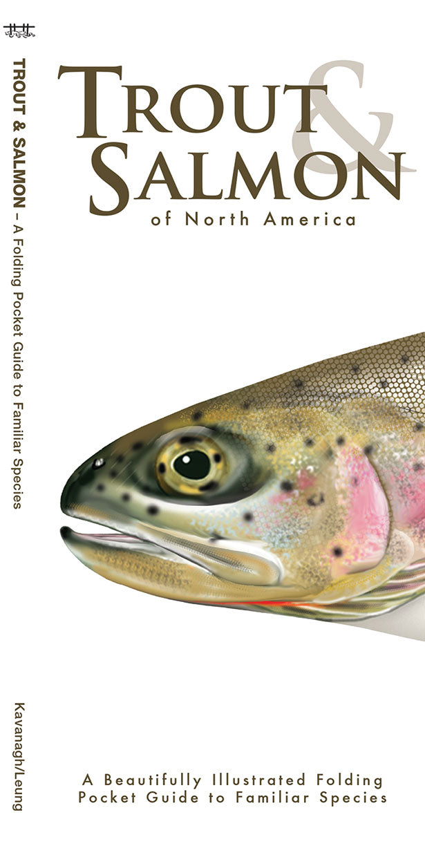 Trout & Salmon Guide (Laminated)