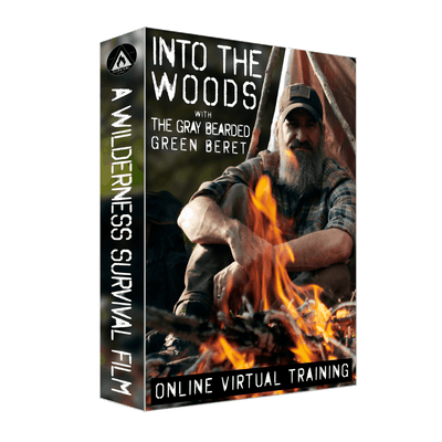 Into the Woods DVD or USB