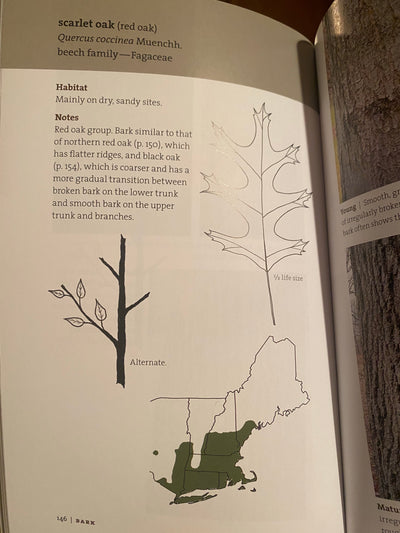 Bark: A Field Guide to Trees of the Northeast