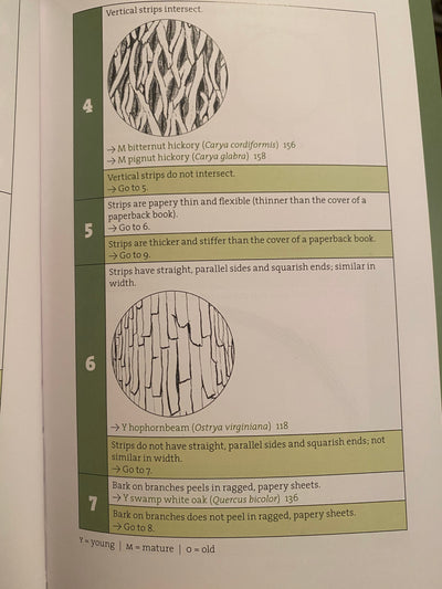 Bark: A Field Guide to Trees of the Northeast